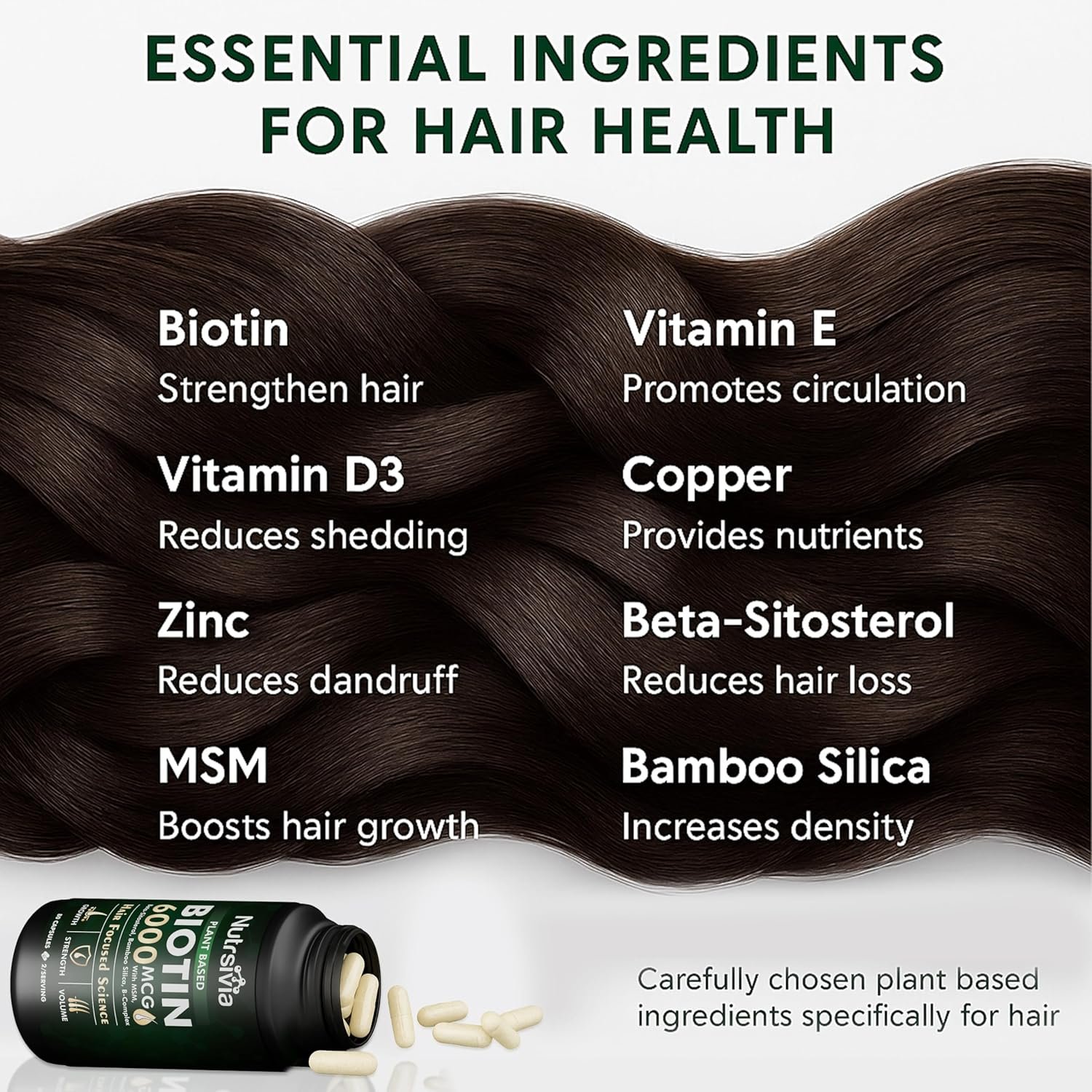 91bOYFml4OL._AC_SL1500_