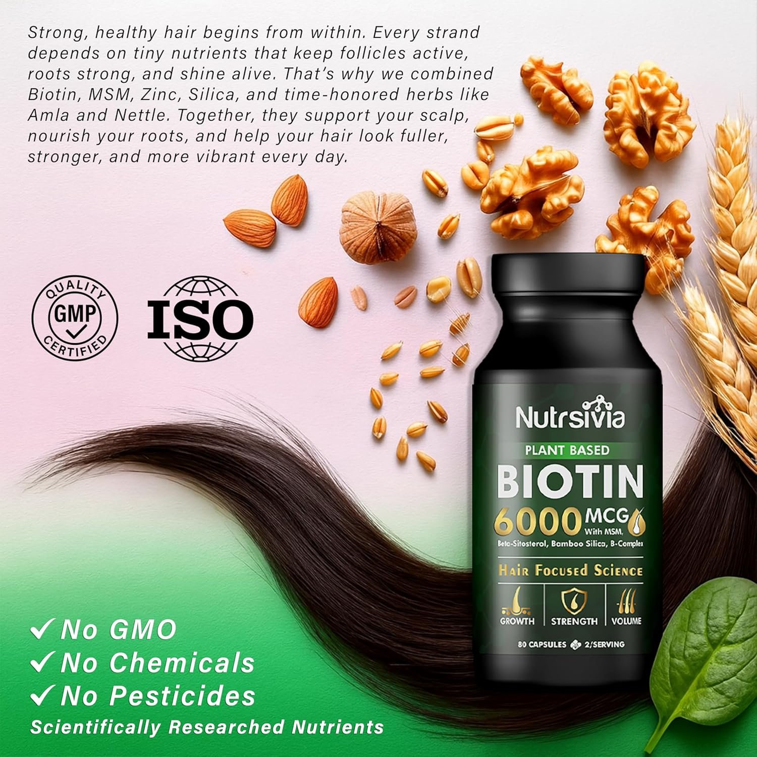 91rUTCrLBzL._AC_SL1500_